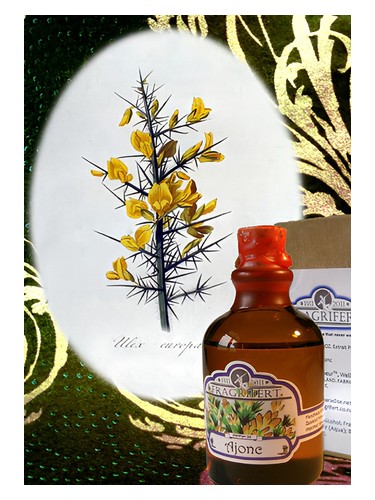 Ajonc Fragrifert Parfumeur