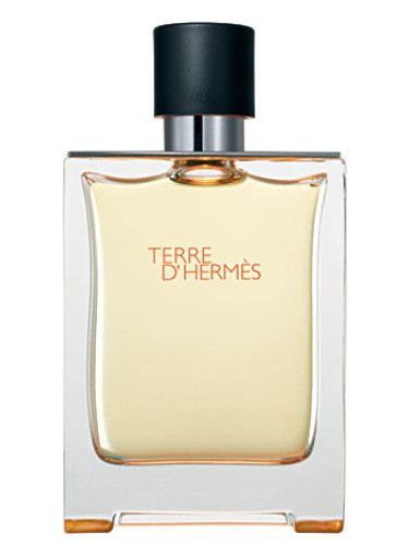 Terre d&#039;Hermès Hermès cologne - a fragrance for men 2006