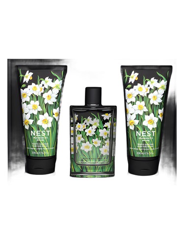 Nest White Narcisse