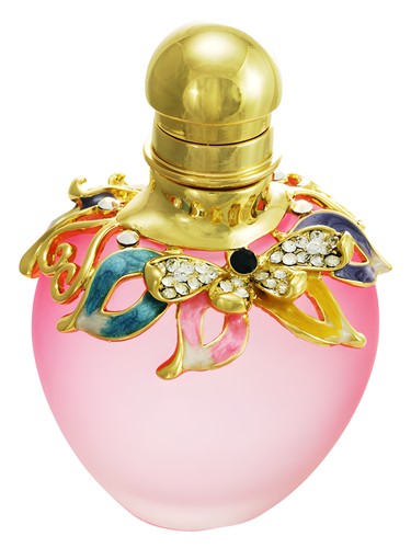 Novae Plus Small Attic