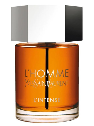 Akvarium holdall Specialist L&amp;#039;Homme Parfum Intense Yves Saint Laurent cologne - a fragrance  for men 2013