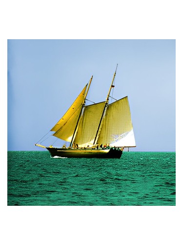 Abdes Salaam Attars Perfumes Sea Wood