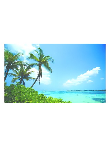 Abdes Salaam Attars Perfumes Tea Of The Isles