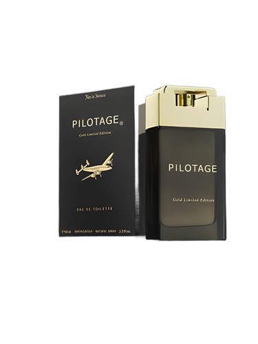 Yves de Sistelle Pilotage