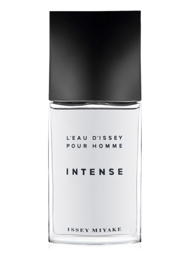 L 039 Eau d 039 Issey Pour Homme Intense Issey Miyake