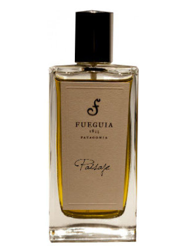 Paisaje Fueguia 1833