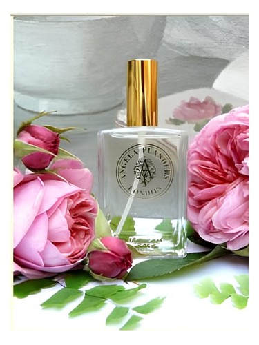 Angela Flanders Moroccan Rose