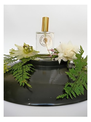 Angela Flanders White Flowers