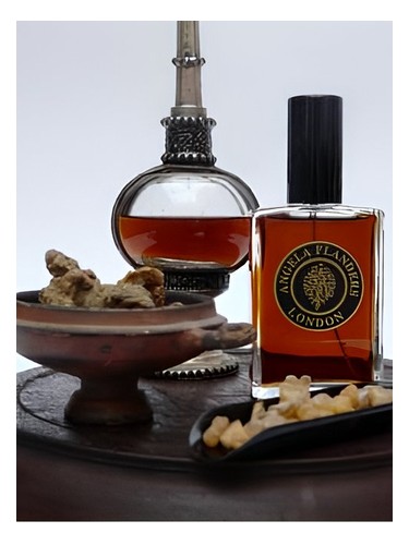 Amber Noir Angela Flanders for women and men