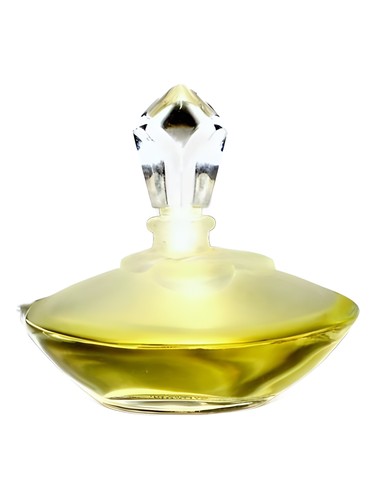 Gardenia Tan Giudicelli for women