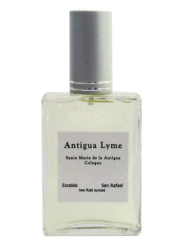 Antigua Lyme Excelsis for men