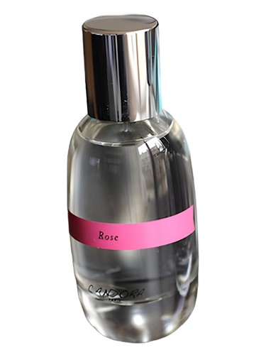 Rose Candora for women and men
