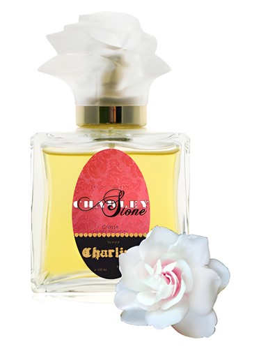 Guy Bouchara Charline