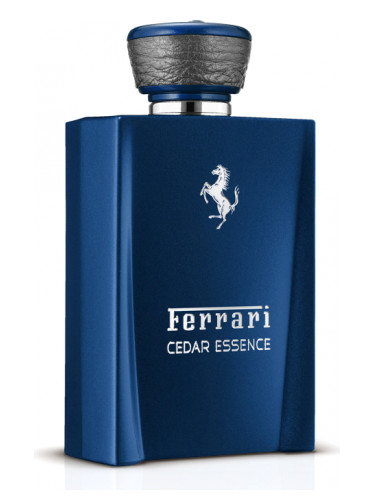 Cedar Essence Ferrari cologne - a fragrance for men 2014