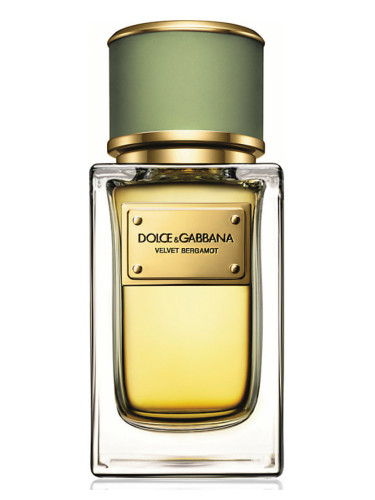 Velvet Bergamot Dolce\u0026amp;amp;Gabbana 