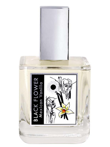 Paco Rabanne Lady Million Empire Eau De Parfum 50ml : : Beauty
