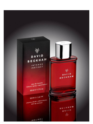 beckham perfume price