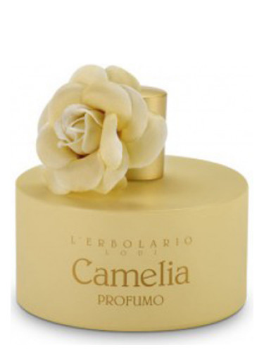 Camelia L&#039;Erbolario perfume - a fragrance for women 2014