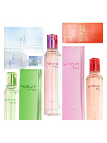 Alain Daniel Winflower Red