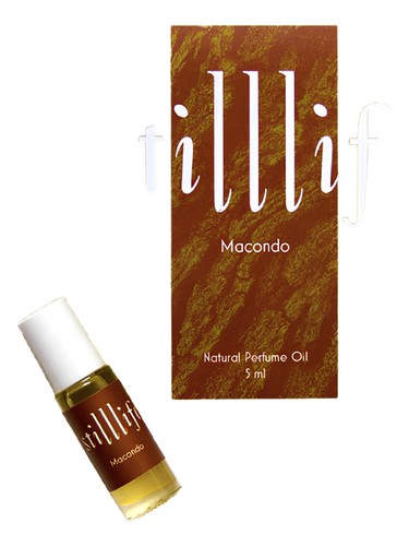 Macondo STILLLIFE for women and men