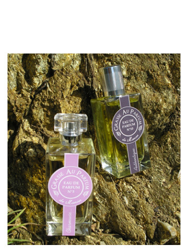 Udholdenhed Sympatisere organisere No 8 Envoutante Grasse Au Parfum perfume - a fragrance for women