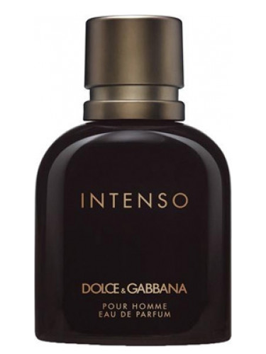 Gabbana Pour Homme Intenso 