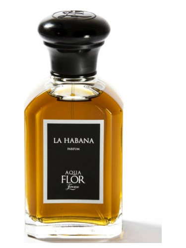 La Habana Aquaflor Firenze perfume - a fragrance for women and men
