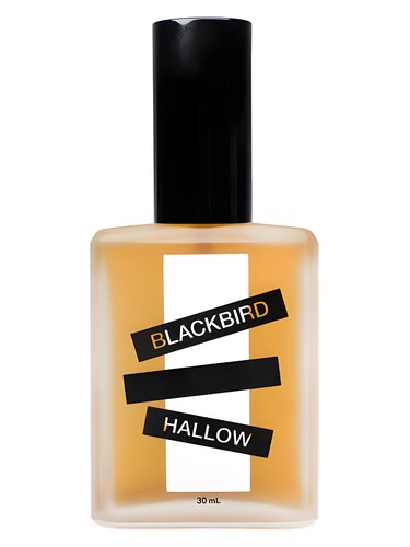 Hallow Blackbird for women and men
