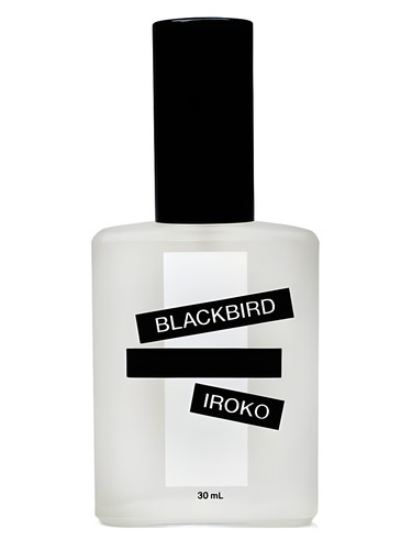 Blackbird Iroko