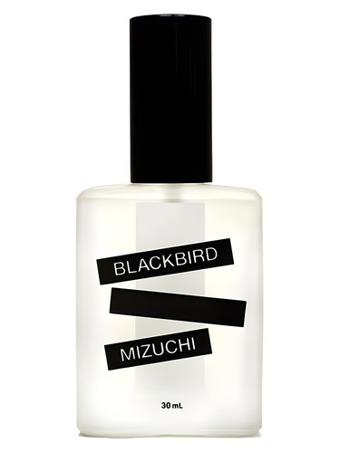 Blackbird Mizuchi
