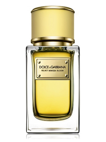 dolce and gabbana bloom