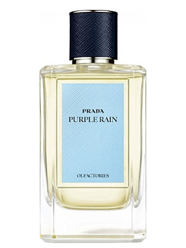 prada purple rain perfume
