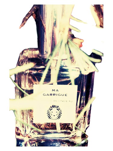 Ma Guarrigue Thierry Blondeau for women and men