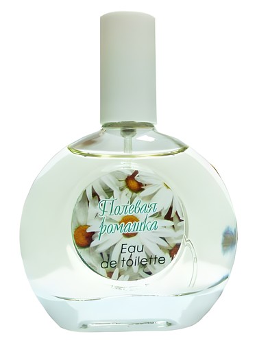 Wild Daisy Pokrovka Trading House