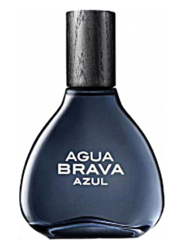 Agua Brava Sea Power by Antonio Puig– Basenotes