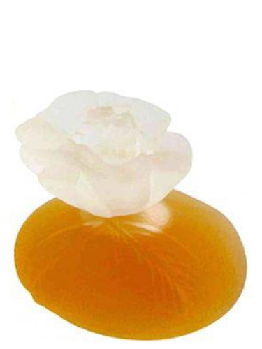 Nationaal gezond verstand Polijsten Kenzo Kenzo perfume - a fragrance for women 1988