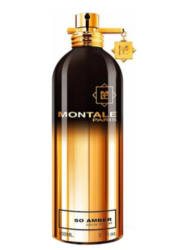 So Amber Montale perfume - a fragrance for women and men 2016