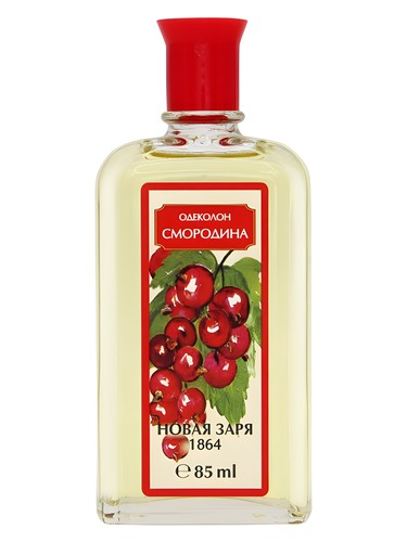 Смородина (Currant) Новая Заря (The New Dawn)