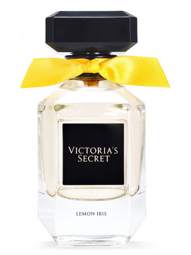 Christian Dior J'adore .25oz Refillable Gold Atomizer Bottle w/ Extra  Perfumes