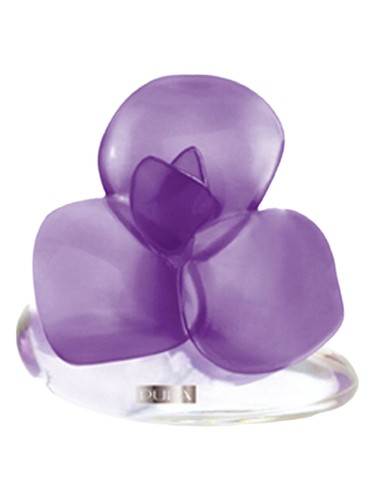 Very Flower Iris Pupa for women