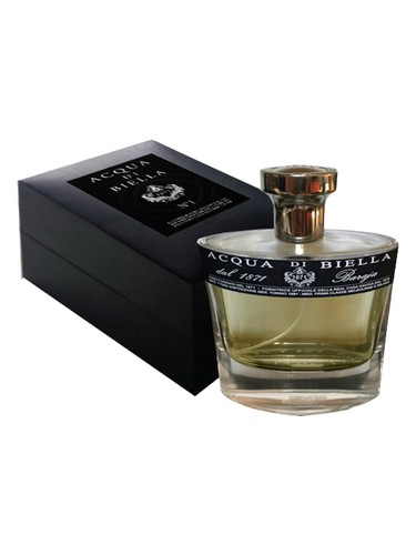 Preja Buja Acqua di Biella for women and men