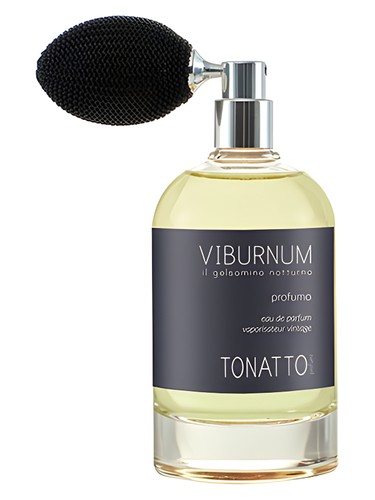 Viburnum by Tonatto