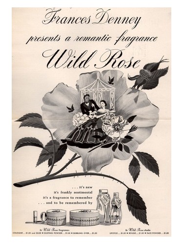 Wild Rose Frances Denney
