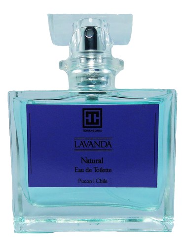 Lavanda Terragonia