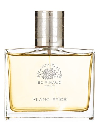 Ed Pinaud Ylang Epice