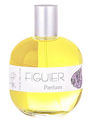 Place des Lices Figuier