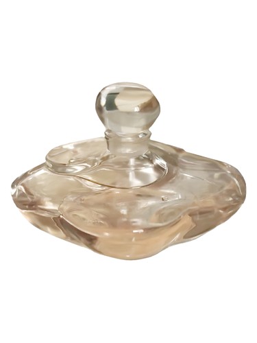 Camelia Superieur Shiseido