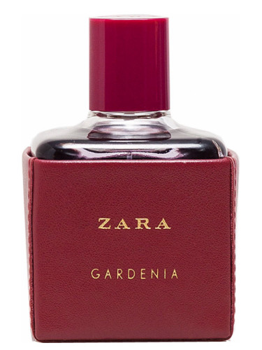 zara gardenia parfem