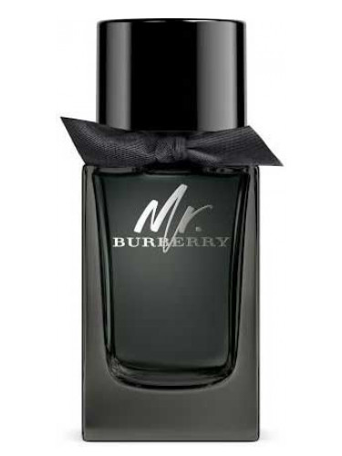 Verdrag Verslaafde hemel Mr. Burberry Eau de Parfum Burberry cologne - a fragrance for men 2017
