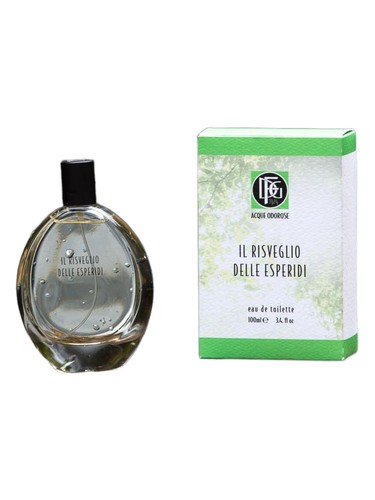 DFG1924 Il Risveglio delle Esperidi